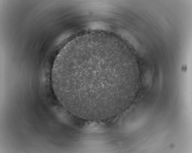 X0000103150824200809192027