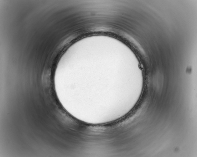 X0000103150825200809192027