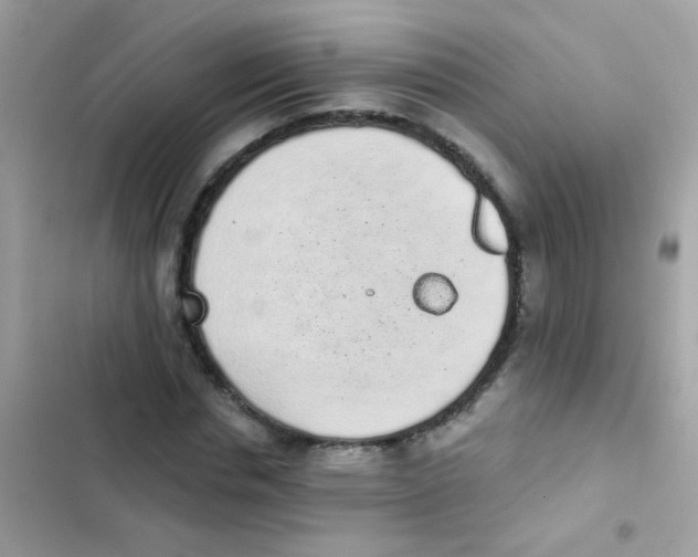 X0000103150826200809192027