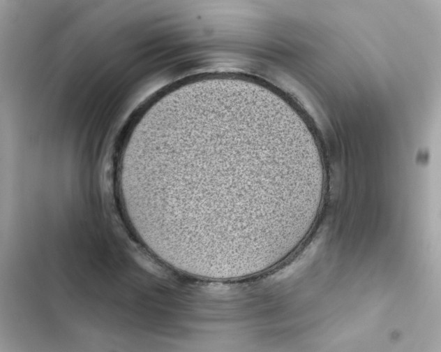 X0000103150827200809192027