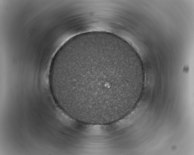 X0000103150828200809192027