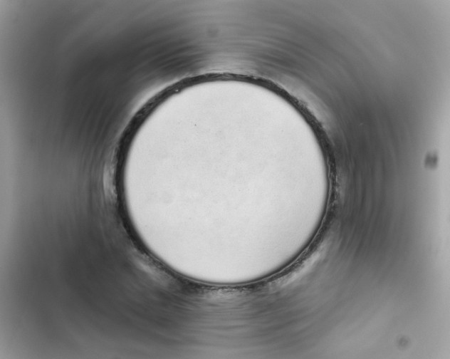 X0000103150830200809192027