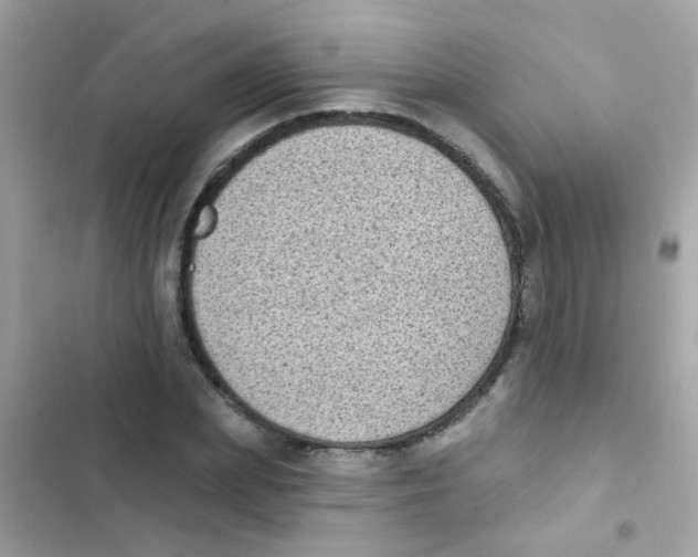 X0000103150831200809192027