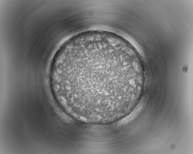 X0000103150832200809192027