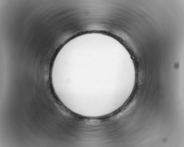 X0000103150833200809192027