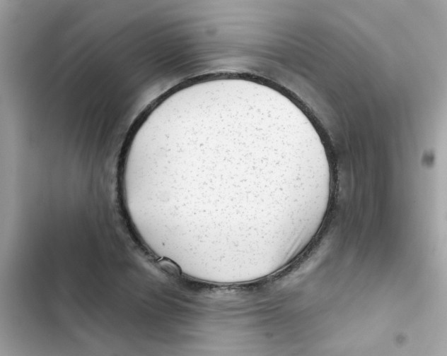 X0000103150834200809192027