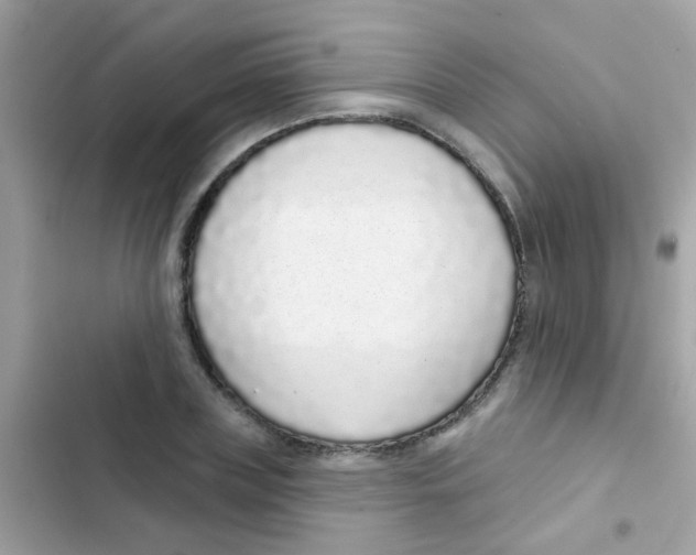 X0000103150835200809192027