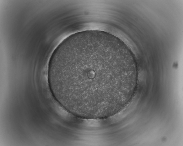 X0000103150836200809192027