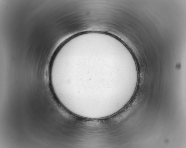 X0000103150838200809192027