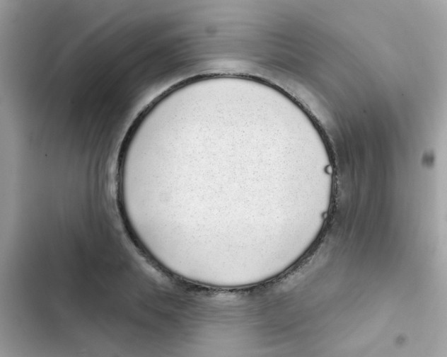 X0000103150839200809192027