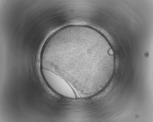 X0000103150840200809192027