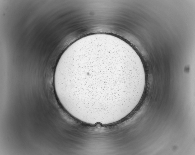 X0000103150841200809192027