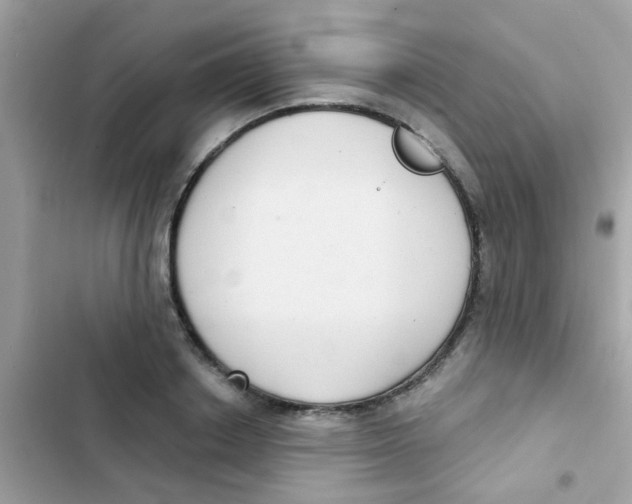 X0000103150842200809192027