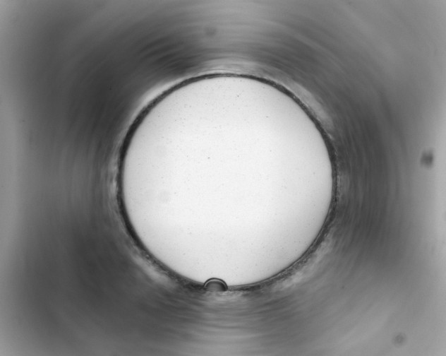 X0000103150846200809192027