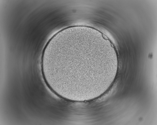 X0000103150847200809192027