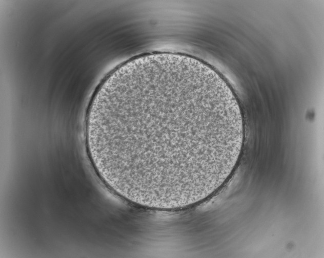 X0000103150848200809192027