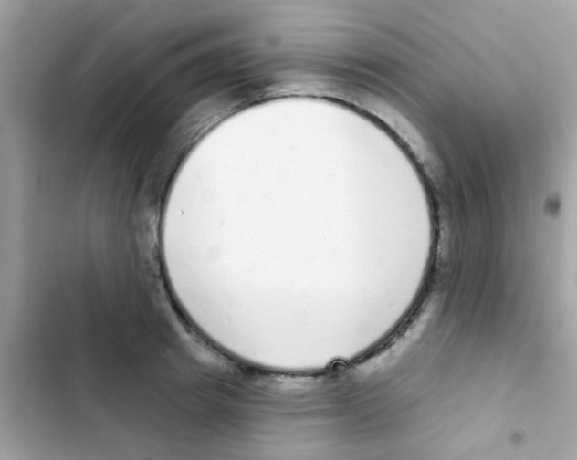 X0000103150849200809192027