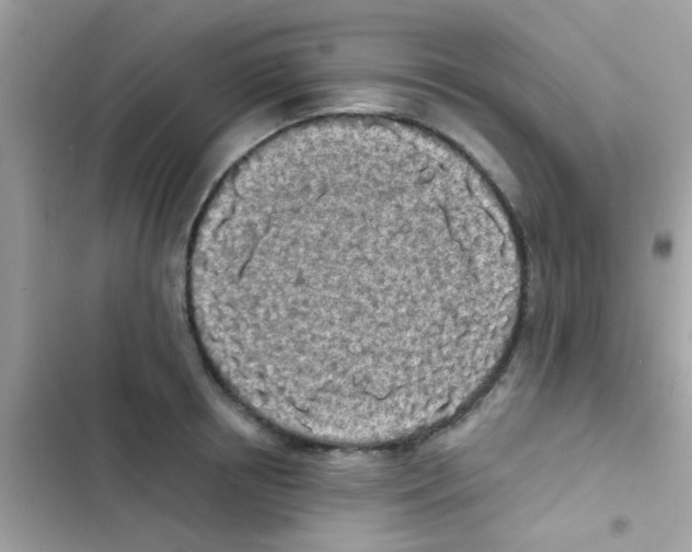 X0000103150850200809192027