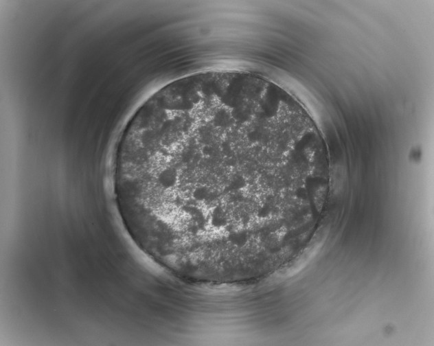 X0000103150851200809192027