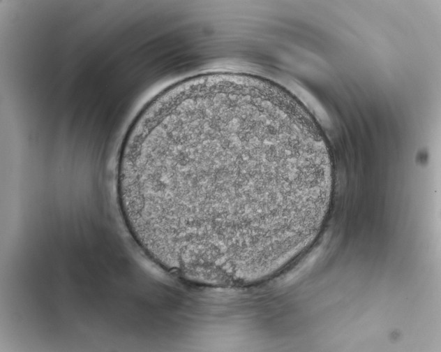 X0000103150854200809192027