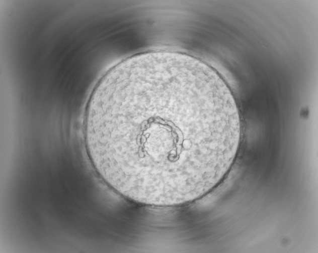 X0000103150856200809192027