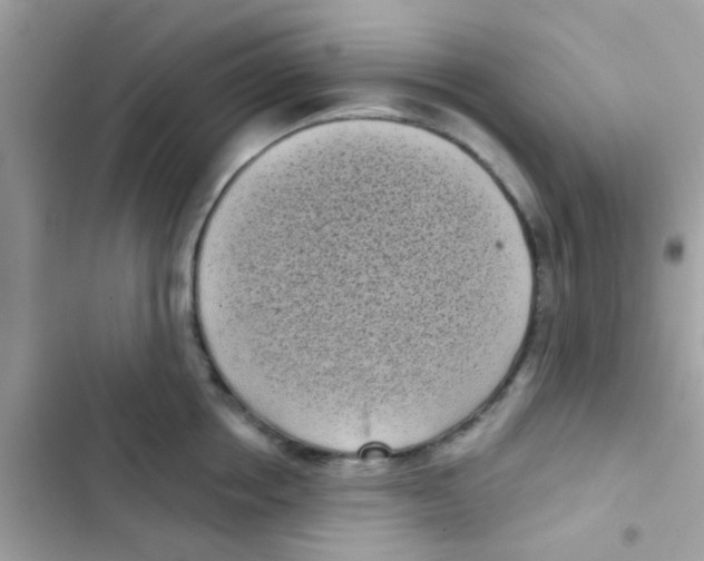 X0000103150858200809192027