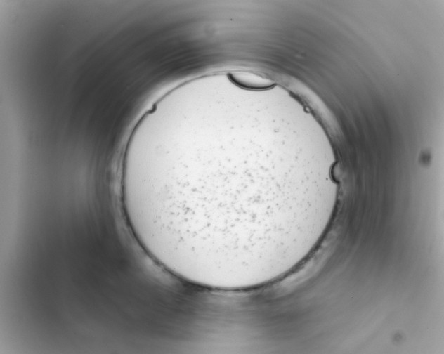 X0000103150860200809192028