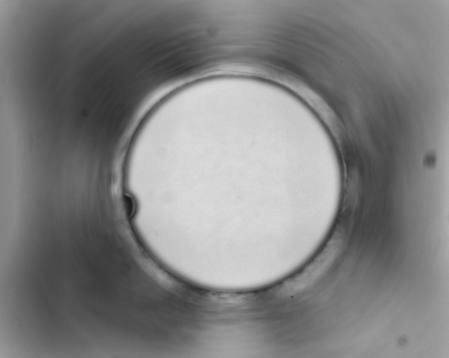 X0000103150862200809192028