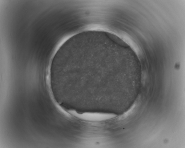 X0000103150863200809192028