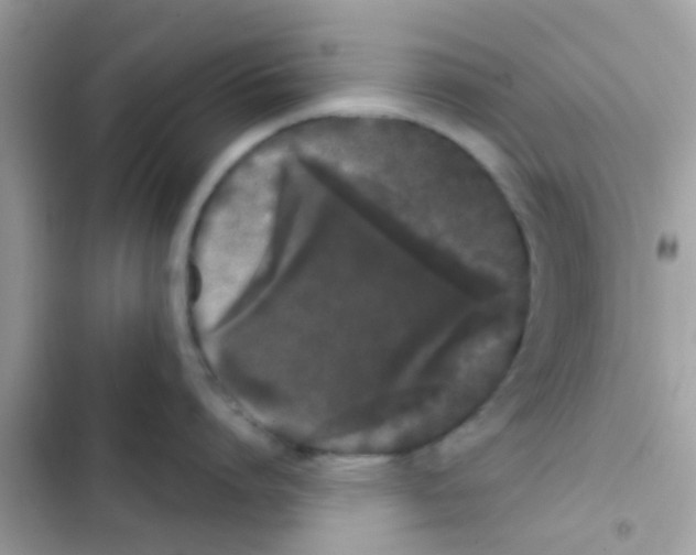 X0000103150864200809192028