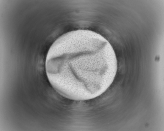 X0000103150866200809192027