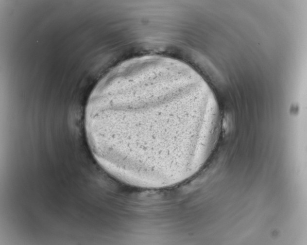 X0000103150867200809192027