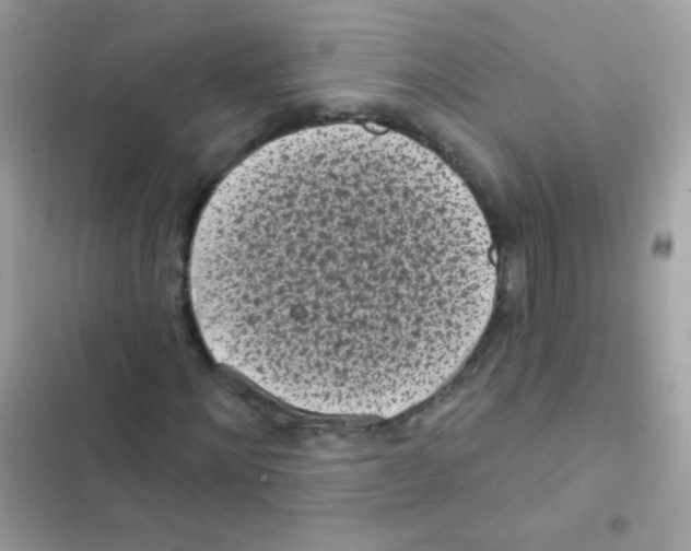 X0000103150868200809192027