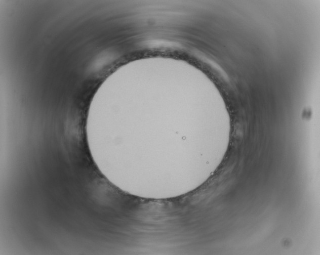 X0000103150869200809192027