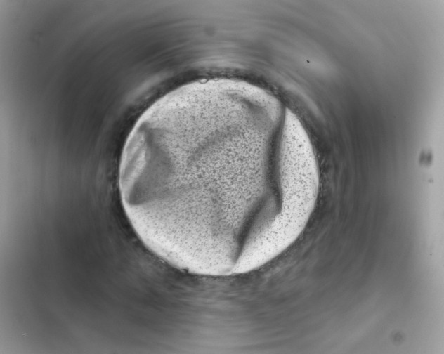 X0000103150870200809192027