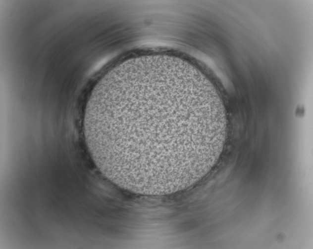 X0000103150871200809192027