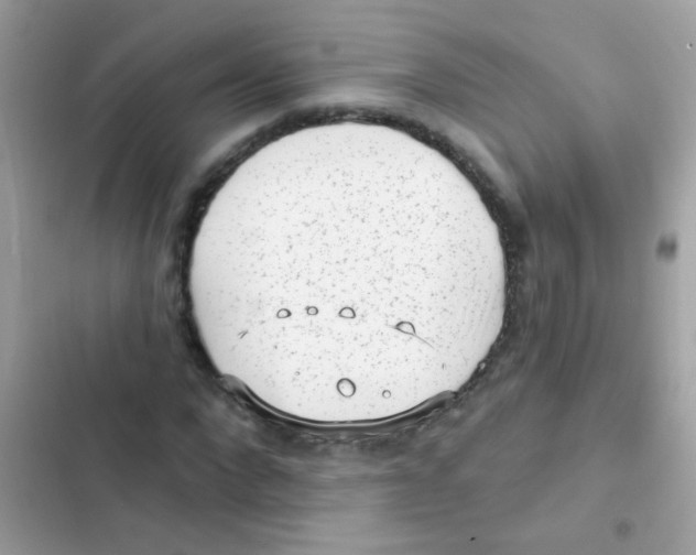 X0000103150872200809192027