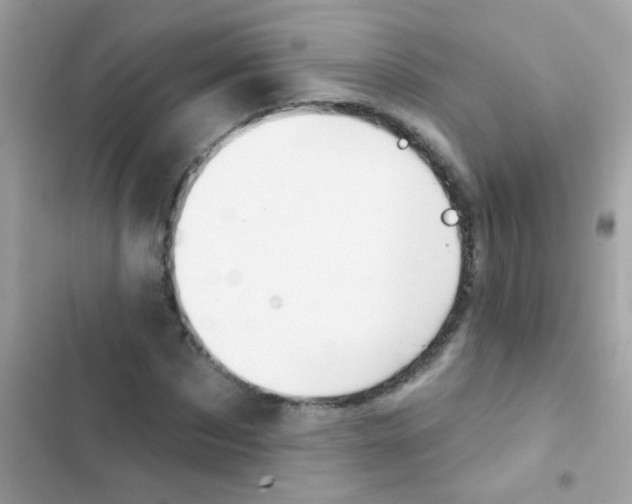 X0000103150873200809192027