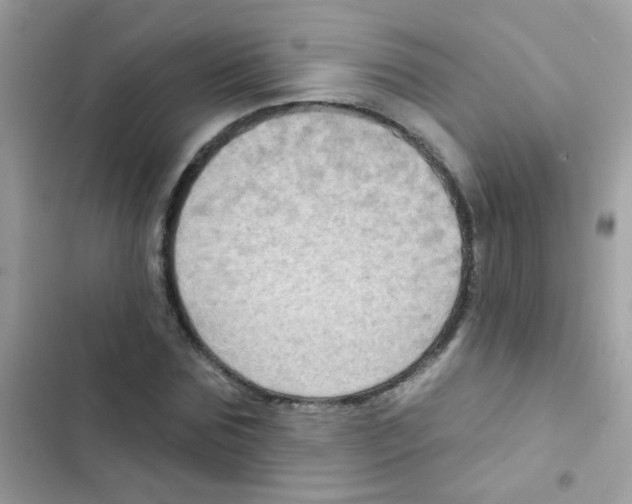 X0000103150875200809192027