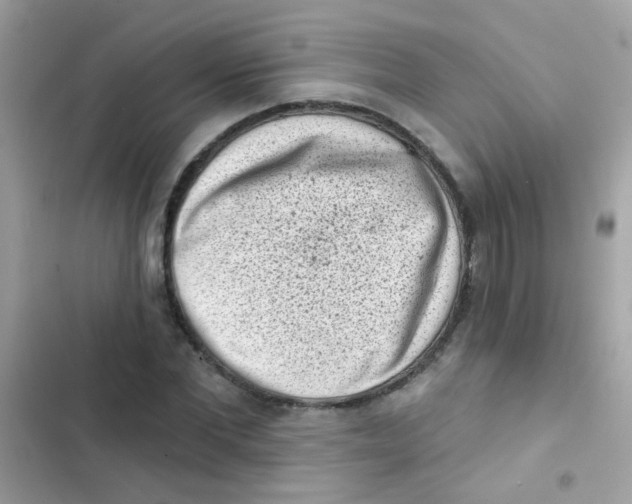 X0000103150877200809192027