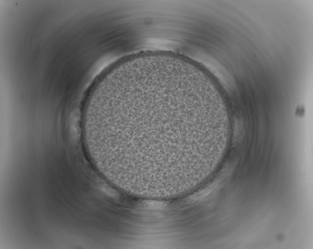 X0000103150878200809192027