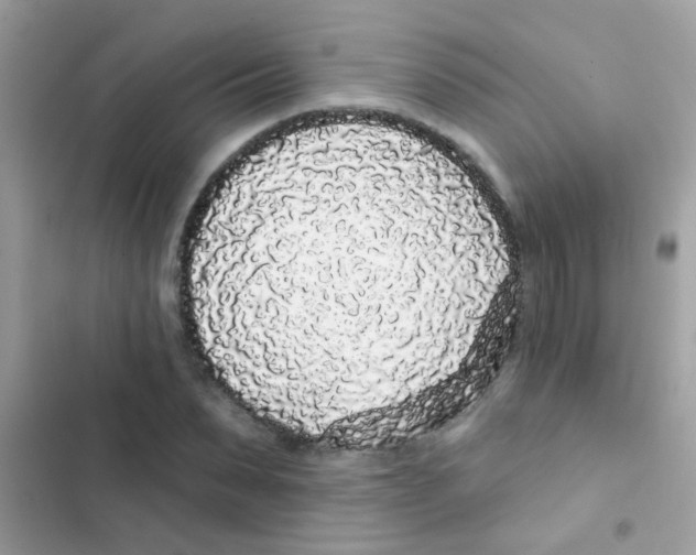 X0000103150879200809192027