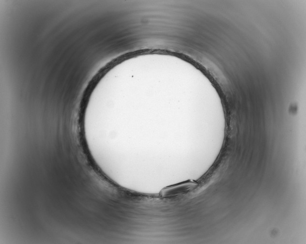 X0000103150880200809192027