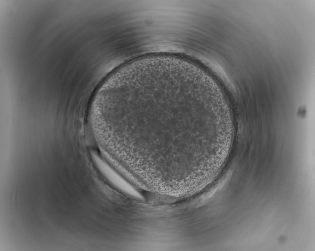 X0000103150881200809192027