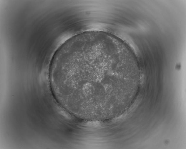 X0000103150882200809192027