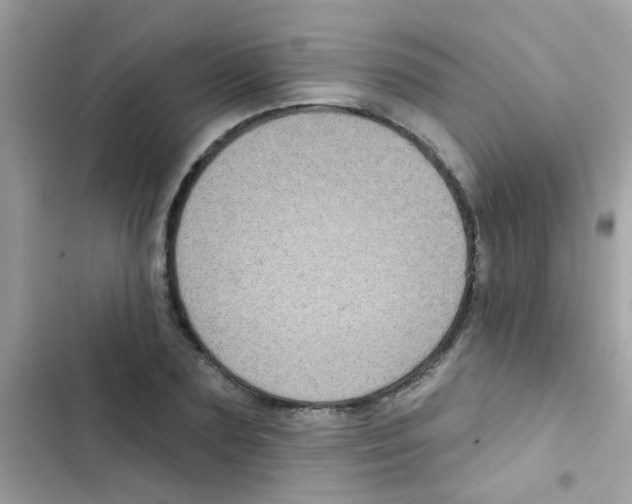 X0000103150883200809192027