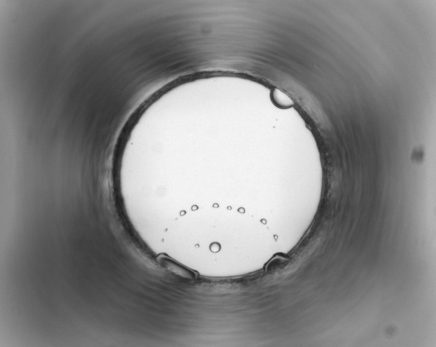 X0000103150884200809192027