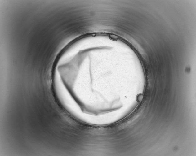 X0000103150885200809192027