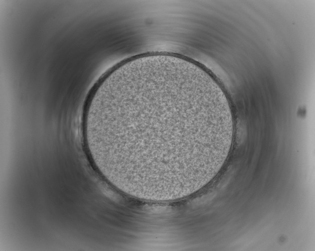 X0000103150886200809192027