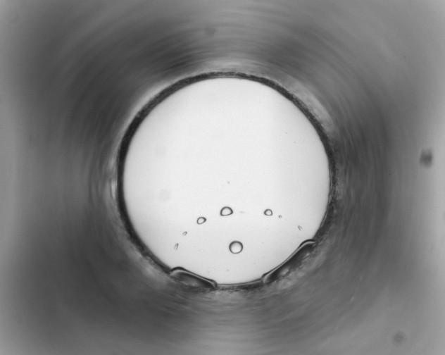 X0000103150888200809192027